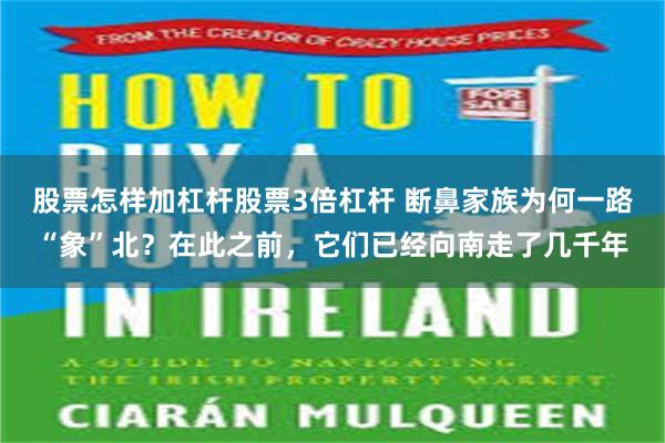 股票怎样加杠杆股票3倍杠杆 断鼻家族为何一路“象”北？在此之前，它们已经向南走了几千年