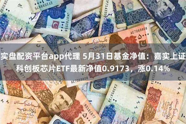 实盘配资平台app代理 5月31日基金净值：嘉实上证科创板芯片ETF最新净值0.9173，涨0.14%