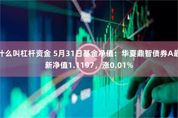 什么叫杠杆资金 5月31日基金净值：华夏鼎智债券A最新净值1.1197，涨0.01%