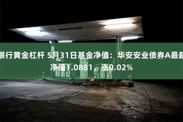 银行黄金杠杆 5月31日基金净值：华安安业债券A最新净值1.0881，涨0.02%