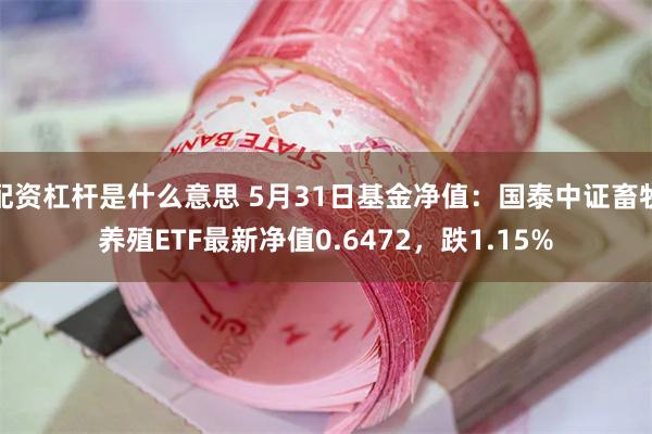 配资杠杆是什么意思 5月31日基金净值：国泰中证畜牧养殖ETF最新净值0.6472，跌1.15%