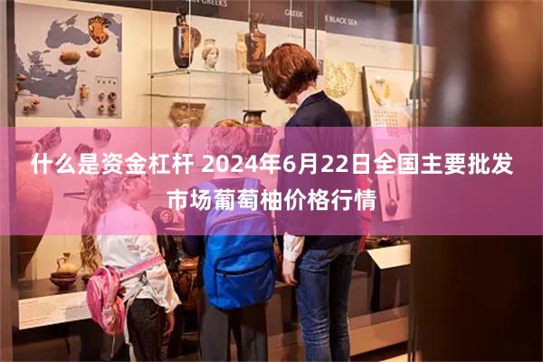 什么是资金杠杆 2024年6月22日全国主要批发市场葡萄柚价格行情