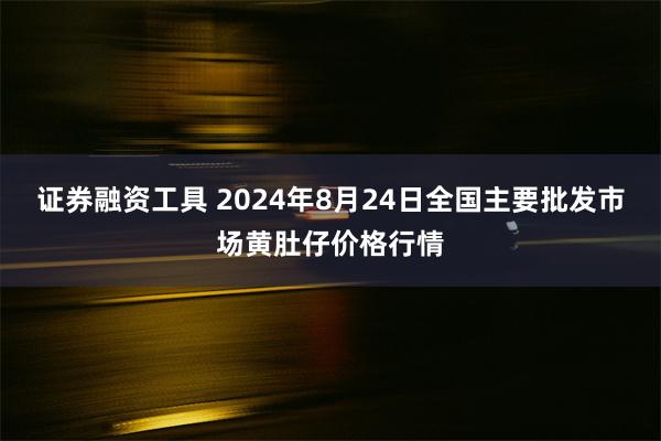 证券融资工具 2024年8月24日全国主要批发市场黄肚仔价格行情