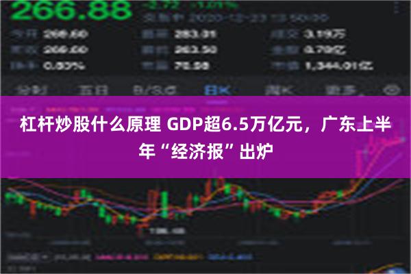 杠杆炒股什么原理 GDP超6.5万亿元，广东上半年“经济报”出炉