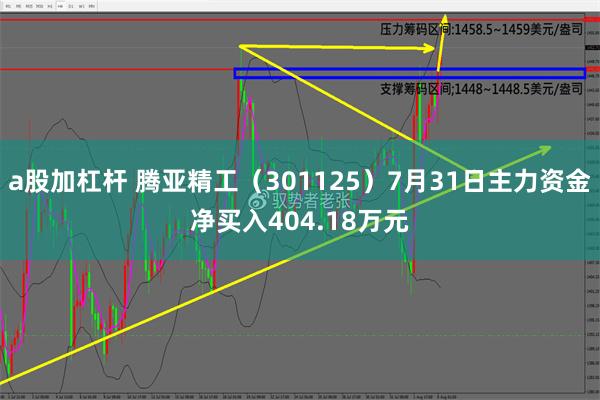 a股加杠杆 腾亚精工（301125）7月31日主力资金净买入404.18万元