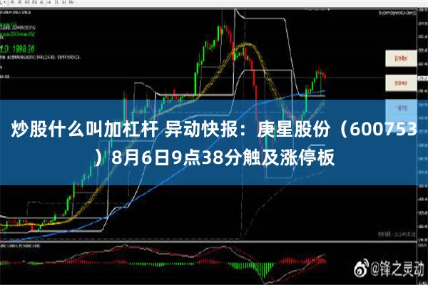 炒股什么叫加杠杆 异动快报：庚星股份（600753）8月6日9点38分触及涨停板