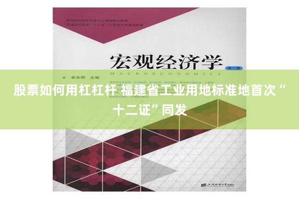 股票如何用杠杠杆 福建省工业用地标准地首次“十二证”同发