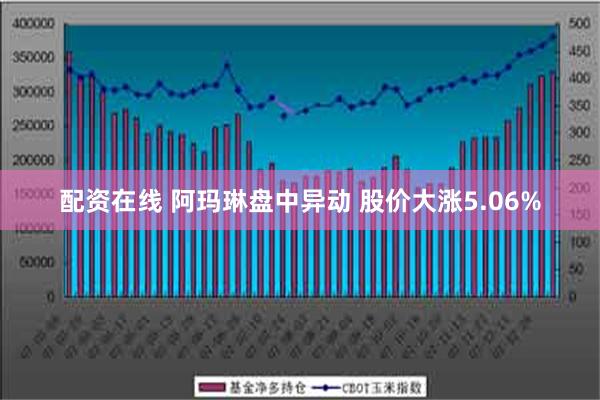 配资在线 阿玛琳盘中异动 股价大涨5.06%