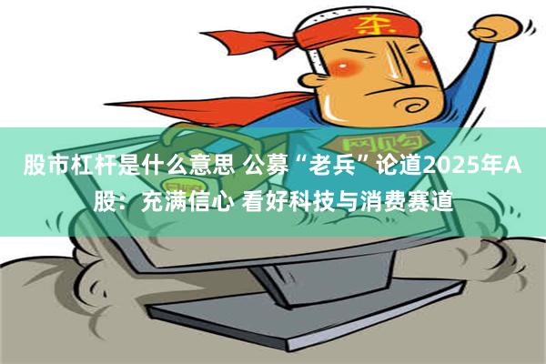 股市杠杆是什么意思 公募“老兵”论道2025年A股：充满信心 看好科技与消费赛道