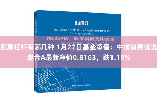 股票杠杆有哪几种 1月27日基金净值：中加消费优选混合A最新净值0.8163，跌1.19%