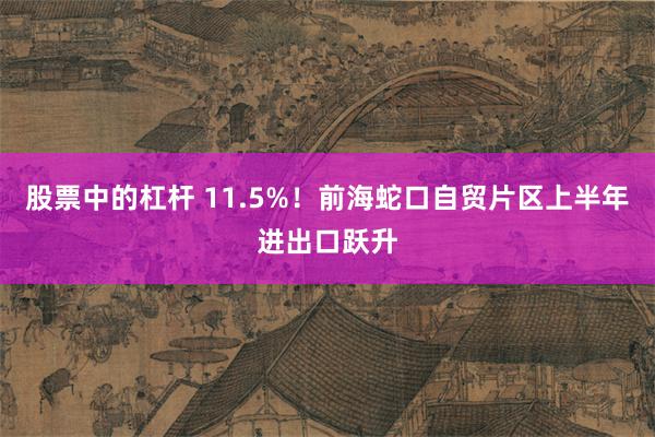 股票中的杠杆 11.5%！前海蛇口自贸片区上半年进出口跃升