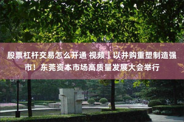 股票杠杆交易怎么开通 视频｜以并购重塑制造强市！东莞资本市场高质量发展大会举行