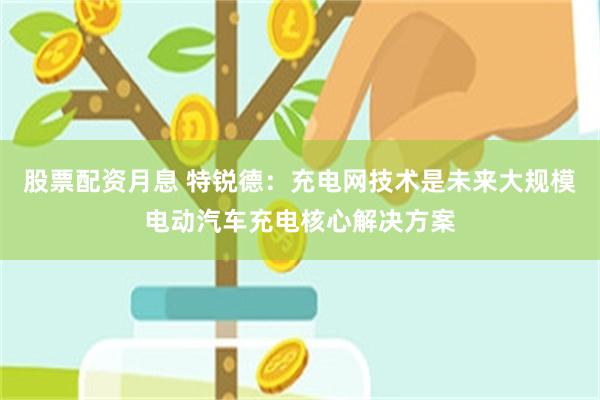 股票配资月息 特锐德：充电网技术是未来大规模电动汽车充电核心解决方案
